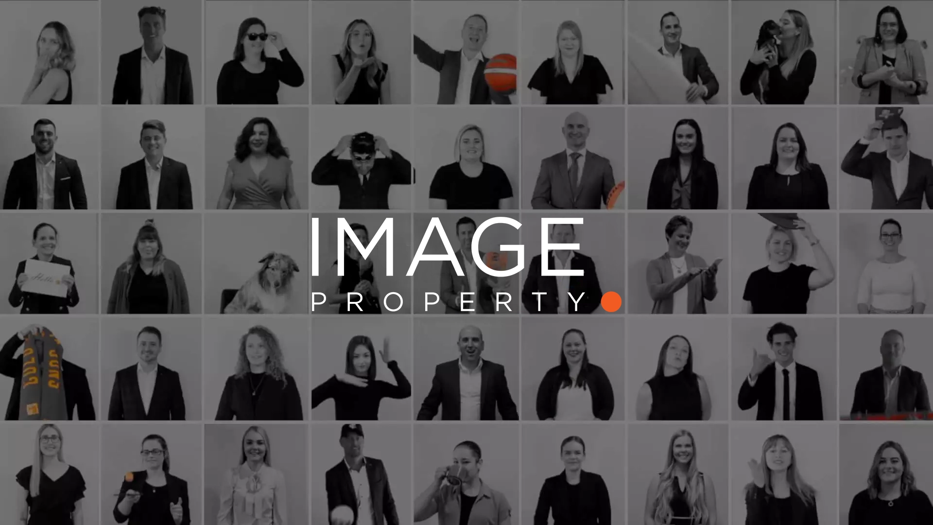 Meet the team