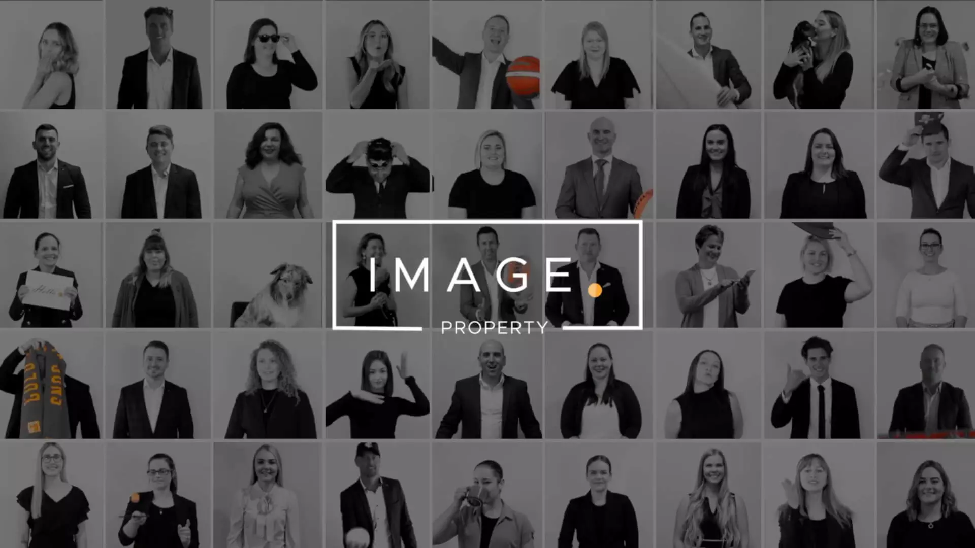 Meet the team